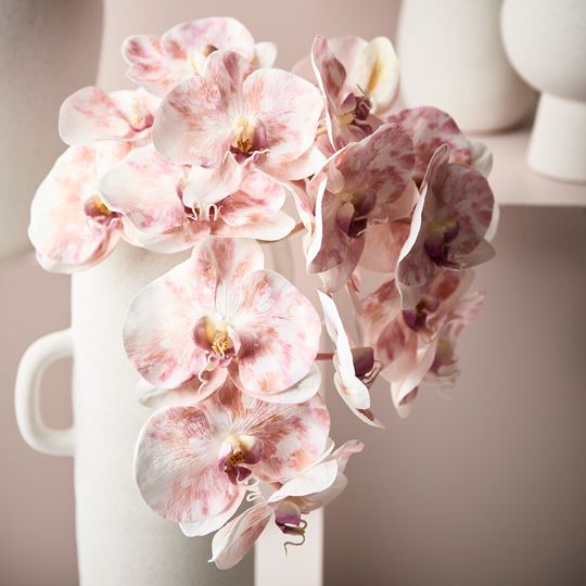 12 x Orchid Phalaenopsis Infused x8 Pink Mauve 96cml (FI8510PM)