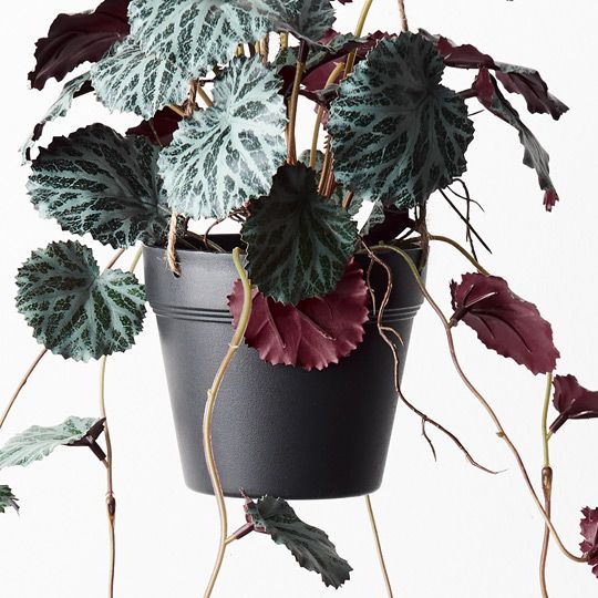 6 x Saxifraga Hanging Pot, Dark Green 55cml (FI9141DG)