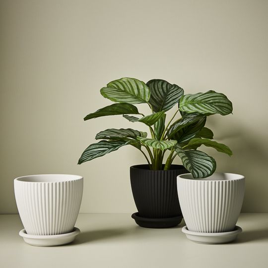 2 x Pot Johanna W of Saucer White (FI9142WH)