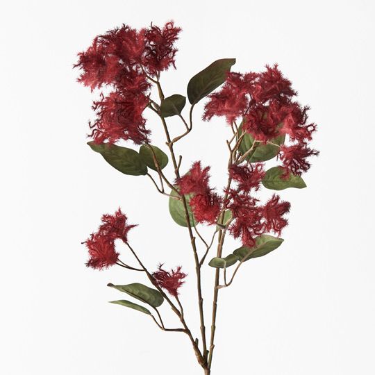 12 x Smoke Bush Spray Red 74cml (FI9162RD)