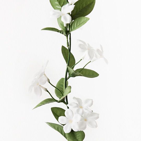 12 x Stephanotis Garland Green White 170cml (FI9168GW)