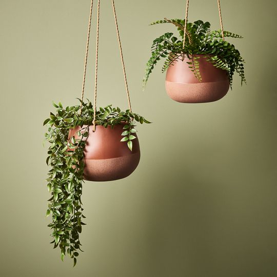 2 x Bowl Iosetta Hanging Chestnut (FI9178CN)