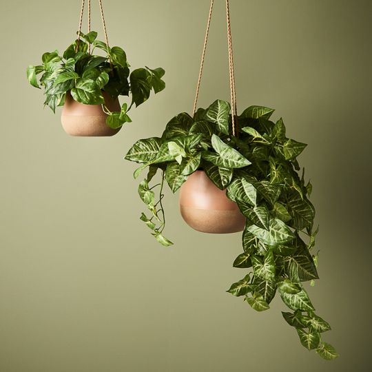 2 x Bowl Iosetta Hanging Nude (FI9178NU)