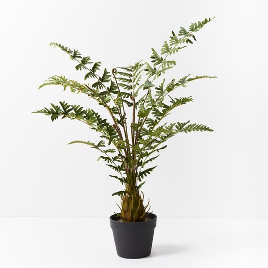 2 x Fern Royal Plant, Green 100cmh (FI9181GR)