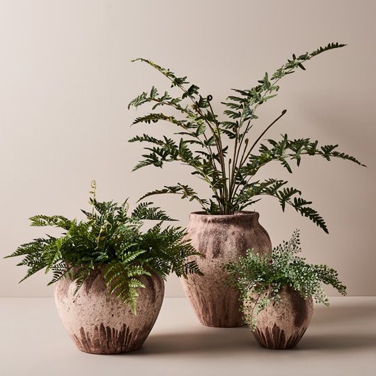 2 x Fern Royal Plant, Green 100cmh (FI9181GR)