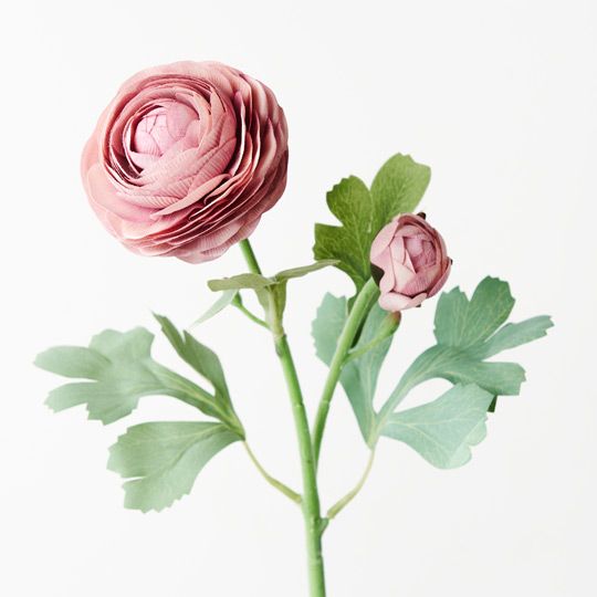 12 x Ranunculus Spray Dusty Pink 50cml (FI9222DP)