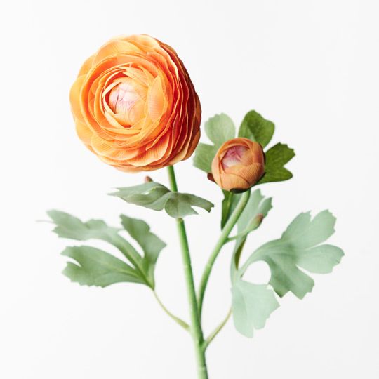 12 x Ranunculus Spray Orange 50cml (FI9222OR)