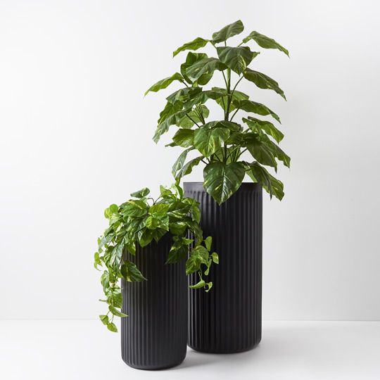 Pot Pleat Cylinder Tall (Set of 2) Black (FI9224BK)