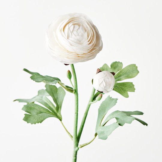 12 x Ranunculus Spray Winter White 50cml (FI9222WW)