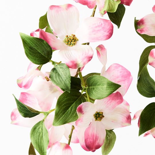 12 x Dogwood Spray Pink Mauve 101cml (FI7797PM)