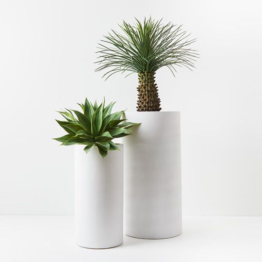 Pot Cylinder Tall (Set of 2) White (FI9225WH)