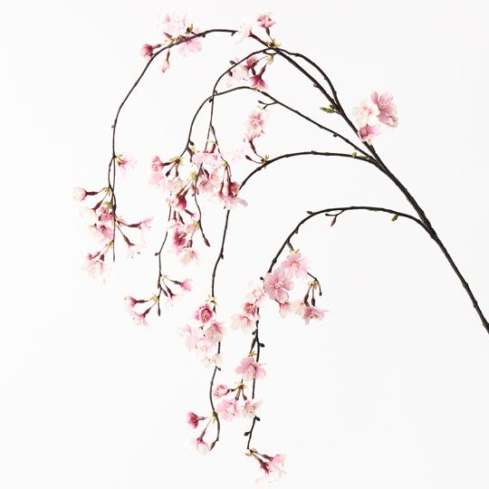 12 x Blossom Cherry Hanging Light Pink 120cml (FI6203LP)