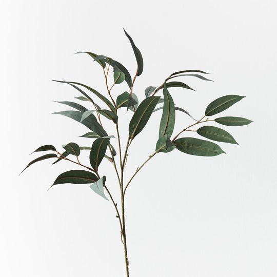 12 x Eucalyptus Long Leaf Spray Grey Green 78cml (FI9230GY)