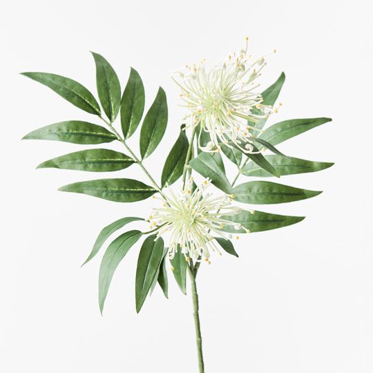 12 x Grevillea Spray White 74cml (FI9237WH)