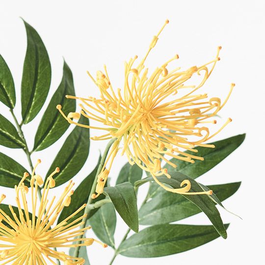 12 x Grevillea Spray Yellow 74cml (FI9237YE)