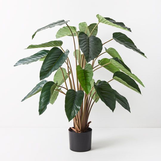 2 x Philodendron Plant, Green 100cmh (FI9292GR)