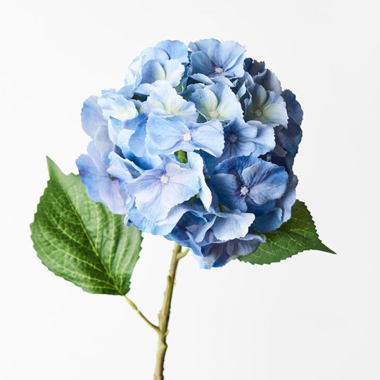 12 x Hydrangea Blue 52cml (FI9360BL)