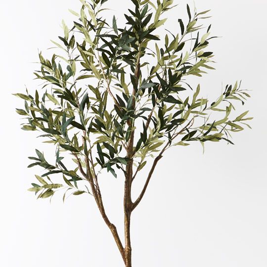 2 x Olive Tree (w/o Fruit), Green 213cmh (FI8908GR)