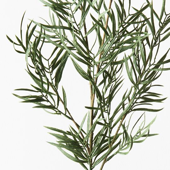 12 x Grevillea Leaf Spray Grey Green 81cml (FI9380GY)