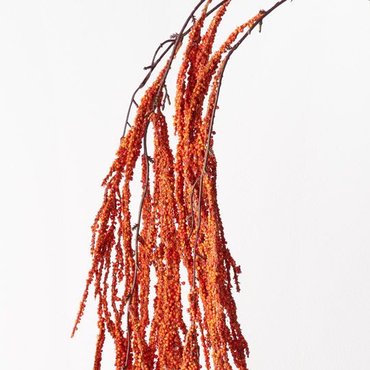 12 x Amaranthus Spray Orange 172cml (FI9405OR)