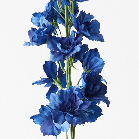 12 x Delphinium Royal Blue 90cml (FI9406RB)