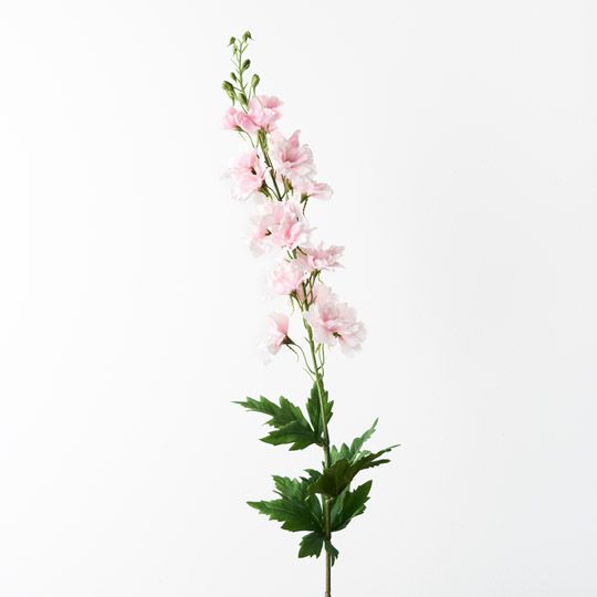 12 x Delphinium Light Pink 90cml (FI9406LP)