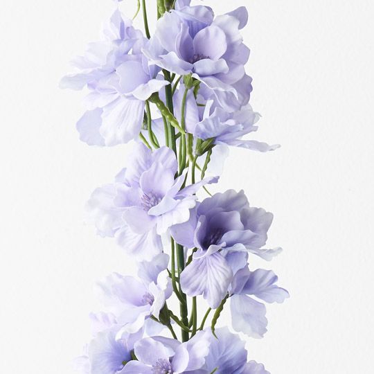 12 x Delphinium Lavender 90cml (FI9406LV)