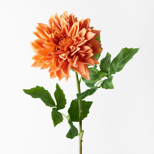 12 x Dahlia Orange 71cml (FI9407OR)