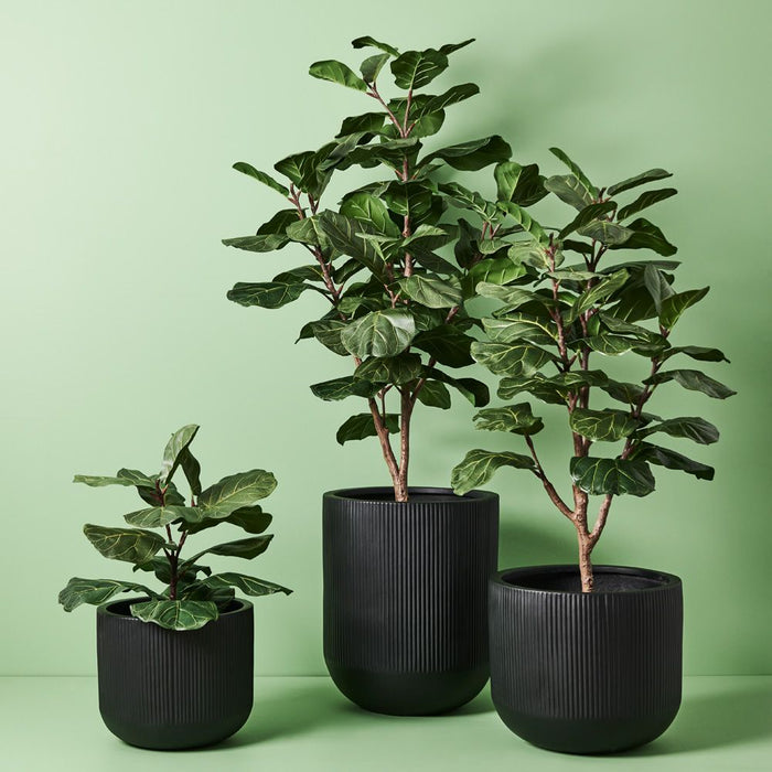 Linear Pot (Set of 2) - Black, 64cmh x 54cmd