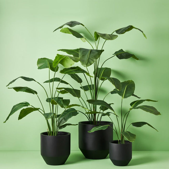 Nomilo Pot (Set of 3) - Black, 50cmh x 50cmd