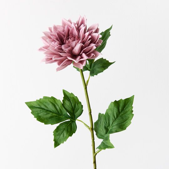 12 x Dahlia Dusty Pink 54cml (FI9422DP)