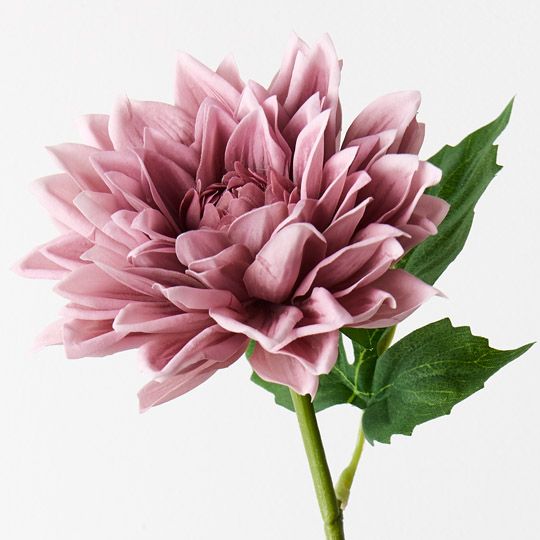 12 x Dahlia Dusty Pink 54cml (FI9422DP)