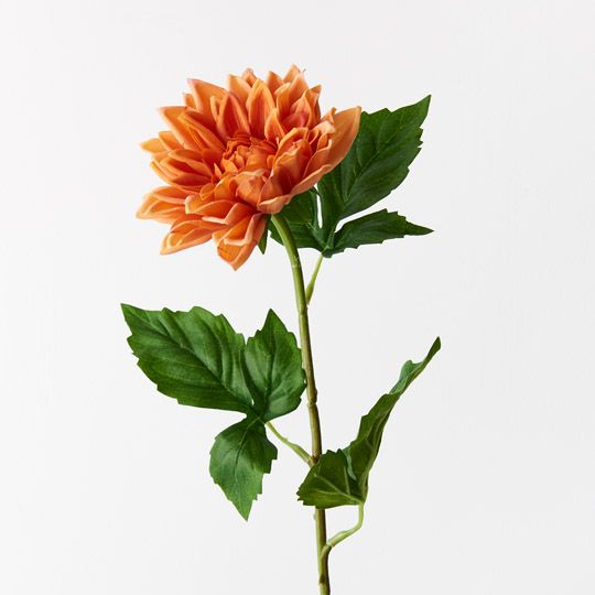 12 x Dahlia Orange 54cml (FI9422OR)