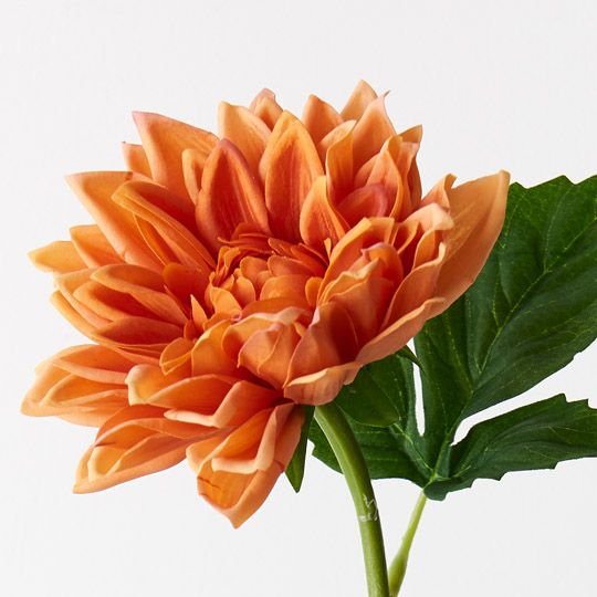 12 x Dahlia Orange 54cml (FI9422OR)