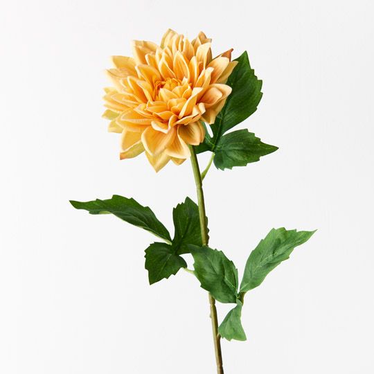 12 x Dahlia Yellow 54cml (FI9422YE)