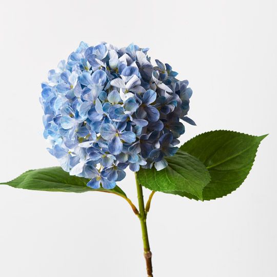 12 x Hydrangea Blue 68cml (FI9435BL)