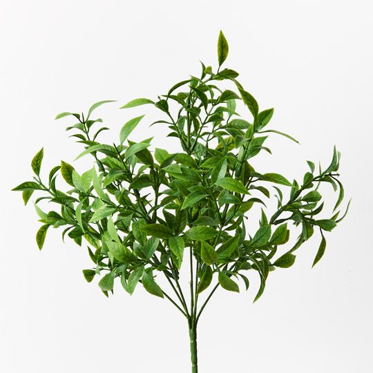 12 x Ruscus Bush Green 43cml (FI9454GR)