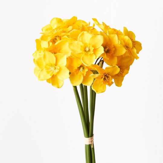 12 x Narcissus Bouquet Yellow 38cml (FI9467YE)