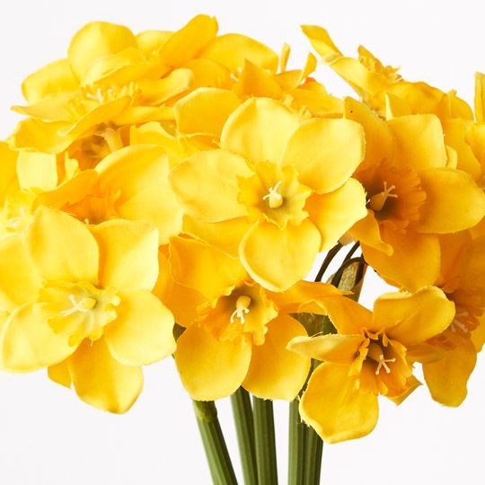 12 x Narcissus Bouquet Yellow 38cml (FI9467YE)