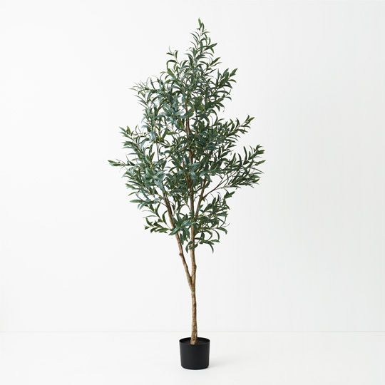 Olive Tree (w/o Fruit), Grey 200cmh (FI9472GY)