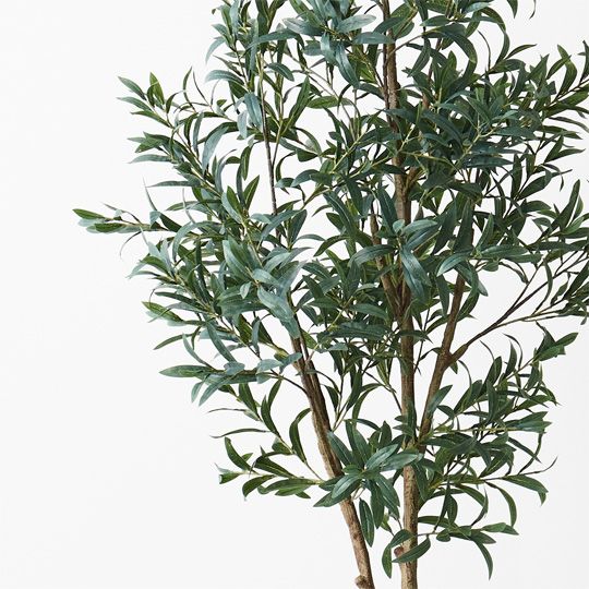 Olive Tree (w/o Fruit), Grey 200cmh (FI9472GY)