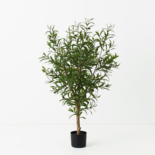 Olive Tree, Green 120cmh (FI9473GR)