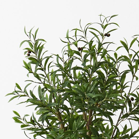 Olive Tree, Green 120cmh (FI9473GR)