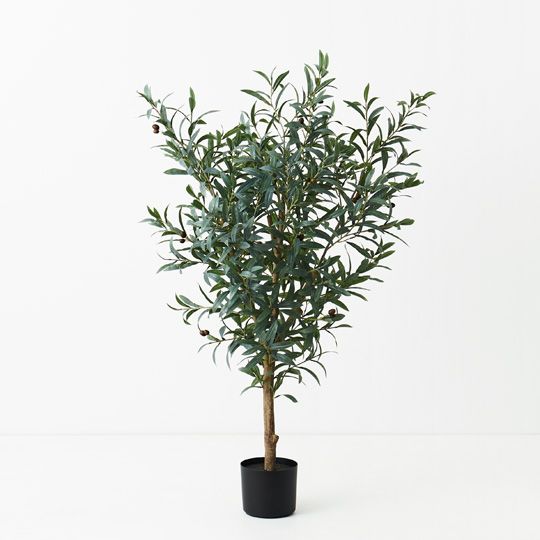 Olive Tree, Grey 120cmh (FI9473GY)