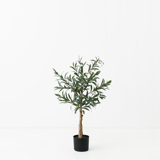 2 x Olive Tree (w/o Fruit), Grey 90cmh (FI9470GY)