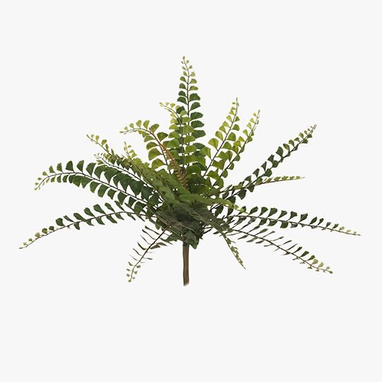 12 x Fern Jewel Bush Green 28cml (FI7053GR)