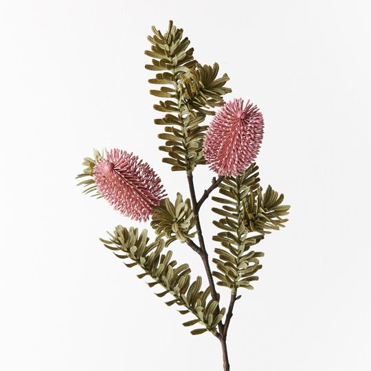 12 x Banksia Spray Pink 66cml (FI9516PK)