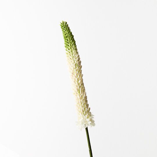 12 x Lily Foxtail White 84cml (FI9526WH)