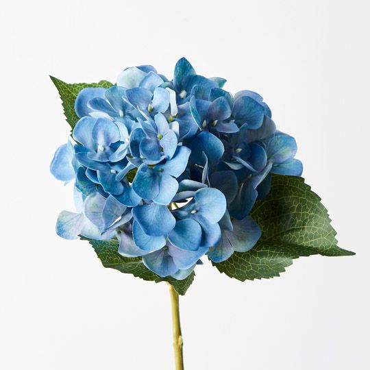 12 x Hydrangea Blue 63cml (FI9550BL)