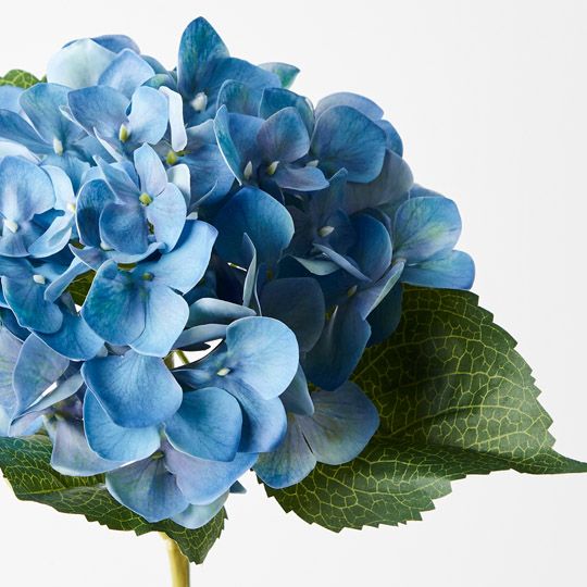 12 x Hydrangea Blue 63cml (FI9550BL)